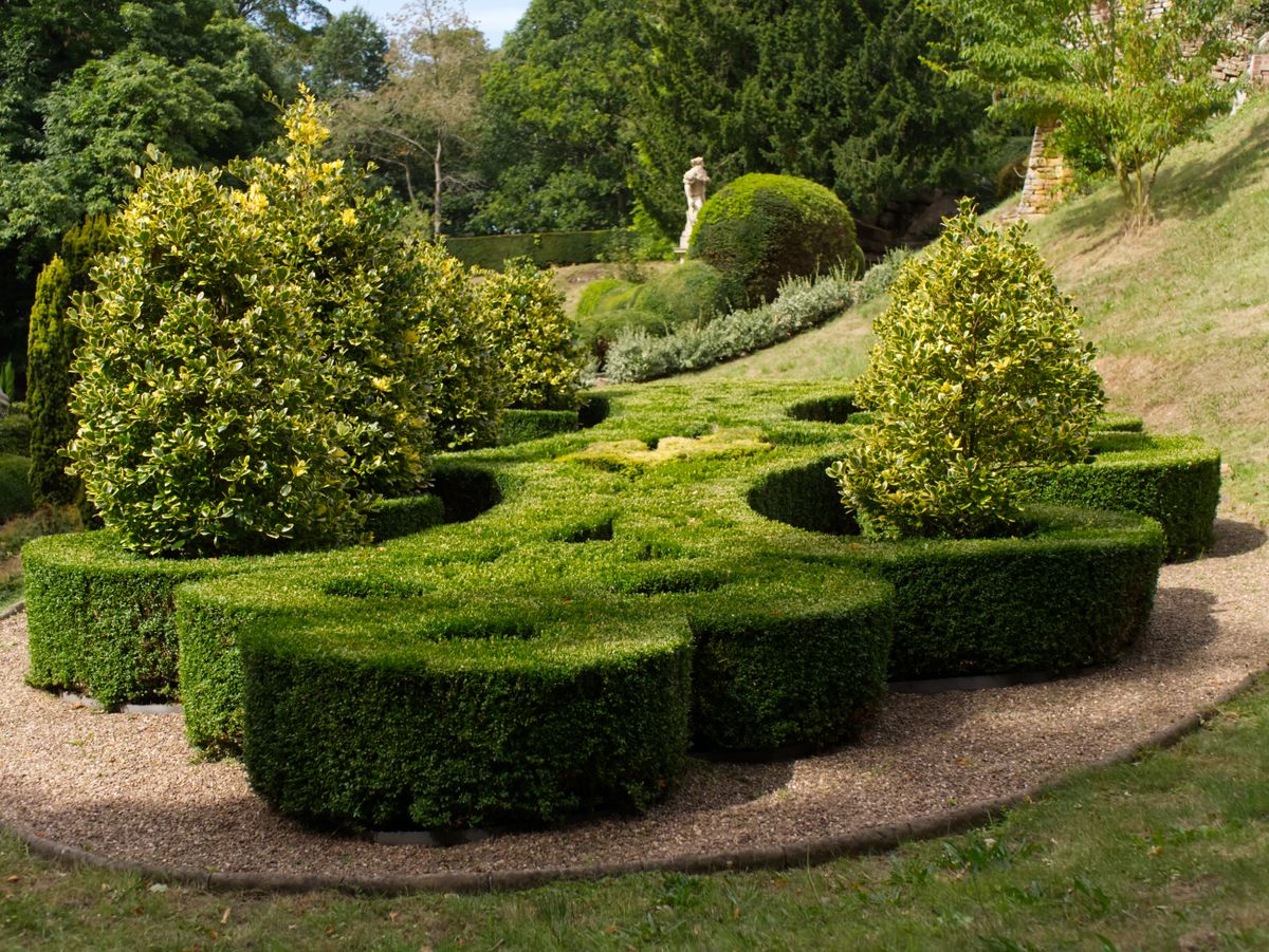 Formal garden with boxwood parterres and topiary