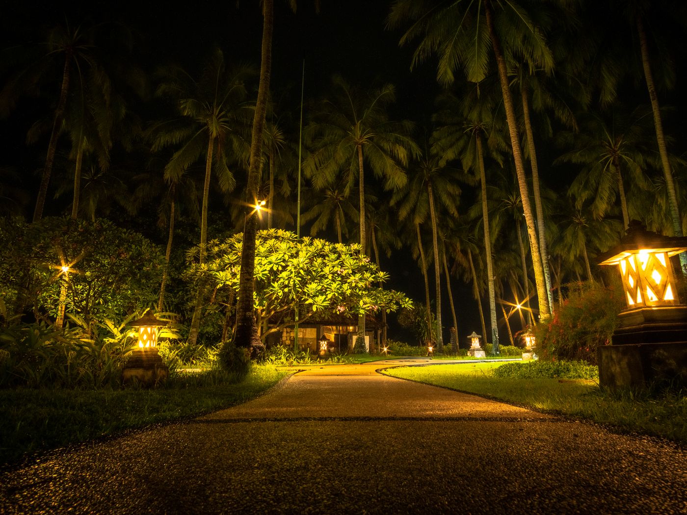 Illuminated garden pathway with landscape lighting at dusk